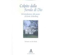 Colpito dalla fionda di Dio. Un'introduzione alla poesia di Gerrit Achterberg