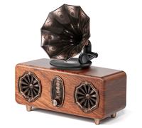 COLSUR Altoparlante Bluetooth retrò vintage FM radio supporta scheda TF/AUX/USB