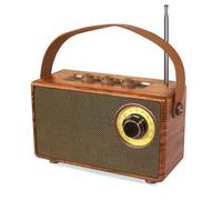 COLSUR Radio FM portatile Vintage,Altoparlante bluetooth portatile Retro Piccola con Radiolina Bluetooth,Cassa portatile Bluetooth con Batteria Ricaricabile,Supporta TF/USB,per Casa,Cucina,all'aperto