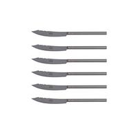 Coltellerie Berti 6 Coltelli Tavola '500 Lama Liscia Inox