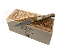 Coltello bistecca Pattada 22 cm in corno con scatola Delfiero Selection From