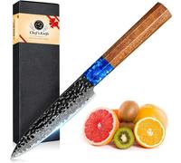 Coltello multiuso per frutta e verdura in acciaio di Damasco Coltello professionale da 4,96 pollici 67 strati Vg10 Accessori da cucina in acciaio giapponese