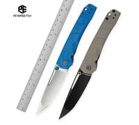 Coltello pieghevole PFP11 per pesci petrificati 14C28N Lama cava G10 Maniglia Coltelli da caccia all'aperto Multiutensile Strumento di pesca pieghevole EDC