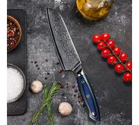 Coltello Santoku Coltello Damasco Vg-10 Lama affilata in acciaio Coltelli da cucina professionali giapponesi Coltelli da cucina e accessori da 7,0 pollici