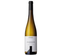 Colterenzio Harrer Südtirol - Alto Adige Riesling DOC 2024 0,75 ℓ