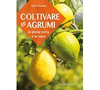 Coltivare gli agrumi in piena terra e in vaso