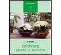 Coltivare piante in terrazza. Un'oasi verde in città