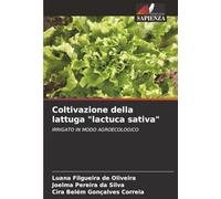 Coltivazione della lattuga "lactuca sativa": IRRIGATO IN MODO AGROECOLOGICO