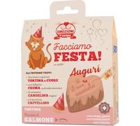 COLTIVIA Kit Facciamo Festa per Gatto SALMONE