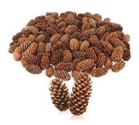 com-four® 200x pigne Decorative - Decorazioni sparse per l'autunno e l'inverno - Decorazioni a Cono - Piccole pigne - Decorazioni Natalizie Naturali - Decorazioni da tavola (200 pigne Piccole)