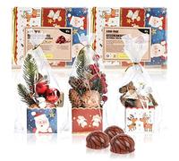 com-four® 24x Buste Regalo con Scatola Pieghevole, Busta e Chiusura - Buste Regalo con Base in Cartone in Stile Natalizio - Buste di plastica per Biscotti