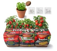 com-four® 3 vasi in terracotta con semi e terriccio - mini serra per peperoncino, fragola e pomodoro - kit di coltivazione per balcone (Kit di coltivazione 11)