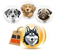 COM-FOUR® 4 scaldamani riutilizzabili con motivi di cani, cuscinetti riscaldanti per le giornate fredde e fuori casa (4 pezzi - cani colorati)