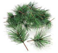 com-four® 50x Decorazione a dispersione, Rami di Pino Decorativi per la dispersione, Rami Decorativi Come Forniture per l'artigianato, abbellisce Regali e Pot-pourris (50 Pezzi - Rami di Pino)