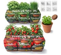 com-four® 6 vasi in terracotta con semi e terriccio - mini serra per peperoncino, fragola, pomodoro, basilico, prezzemolo ed erba cipollina - kit di coltivazione per balcone (Kit di coltivazione 12)