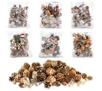 com-four® 6X Decorazioni Natalizie in Sacchetto con pigne, ramoscelli e Bacche - Decorazioni Natalizie - Set per bricolage (6X Sacchetti: Pigna/Ramo/Foglia/Corteccia/Bacca)