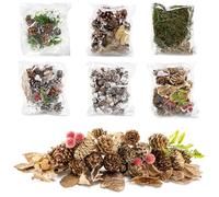 com-four® 6X Decorazioni Natalizie in Un Sacchetto con pigne, ramoscelli e Muschio - Decorazioni Natalizie - Set per bricolage (6X Sacchetti: pigne, ramoscelli, Muschio, Foglie)