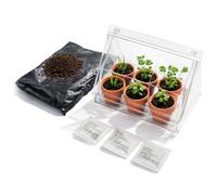 com-four® Mini Serra con 6 vasi in Terracotta, Semi e terriccio - Kit di Coltivazione per basilico, prezzemolo ed Erba cipollina - Serra da Interno (Kit di Coltivazione 10)