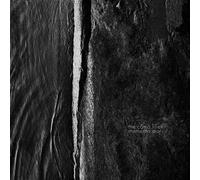 Coma Lilies - Memento Mori