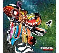 Comanche Cipher - Ludovico Technique