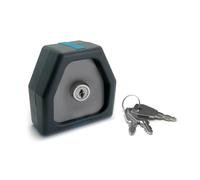 Avidsen 104258 - Comando a chiave per motorizzazione cancello con 2 accesso con la stessa chiave, colore: Grigio, compatibile con Avidsen
