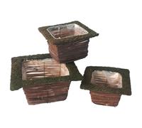 Comarco Sa Set 3 cestini quadrati in rattan con bordo muschio naturale - P 17x17x9 cm - M 19x19x11 cm - G 24x24x12 cm