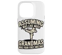 Combattere Nonna Karate Citazione Hapkido Custodia per iPhone 14 Pro