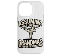 Combattere Nonna Karate Citazione Hapkido Custodia per iPhone 14 Pro Max