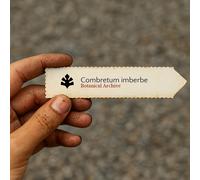 Combretum imberbe SEEDS - - SEMI Legno di piombo | Hardekool