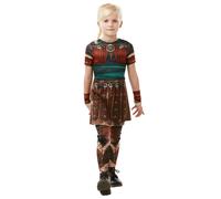Come Addestrare Il Tuo Drago Costume Da Bambina Astrid