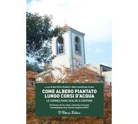 Come albero piantato lungo corsi d'acqua. Le Carmelitane Scalze a Crotone