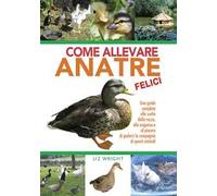 Come allevare anatre felici