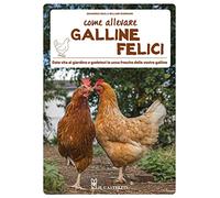 Come allevare galline felici