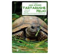 Come allevare tartarughe felici