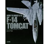 COME COSTRUIRE 1/72 F-14 TOMCAT tutti i passaggi per rendere la HASEGAWA giap...