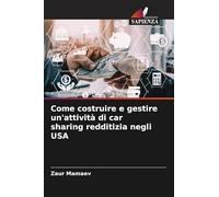 Come costruire e gestire un'attività di car sharing redditizia negli USA
