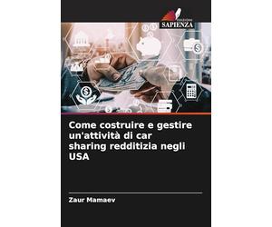 Come costruire e gestire un'attività di car sharing redditizia negli USA