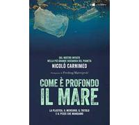 Come è profondo il mare. La plastica, il mercurio, il tritolo e il pesce che mangiamo