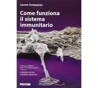 Come funziona il sistema immunitario