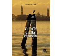 Com'è gialla Venezia. Con Audiolibro