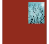 Come gli alberi: Breve viaggio ermetico