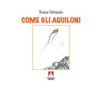 Come gli aquiloni
