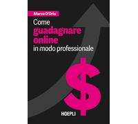 Come guadagnare online in modo professionale