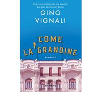 Come la grandine