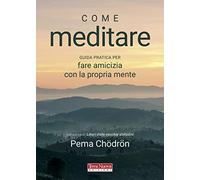 Come meditare. Guida pratica per fare amicizia con la propria mente