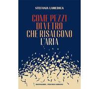 Come pezzi di vetro che risalgono l'aria