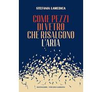 Come pezzi di vetro che risalgono l'aria