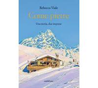 Come pietre. Una storia, due imprese