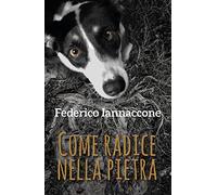 Come radice nella pietra