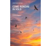 Come rondini in volo